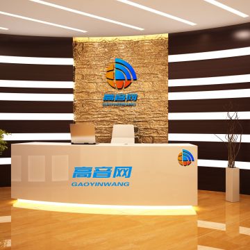 上海高音信息科技有限公司